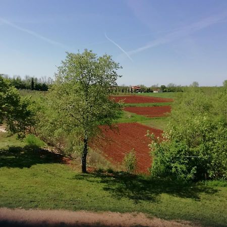 Apartman Nikola Ladrovici المظهر الخارجي الصورة
